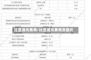比亚迪元费用/比亚迪元费用及图片