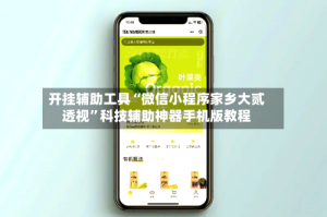 开挂辅助工具“微信小程序家乡大贰透视”科技辅助神器手机版教程
