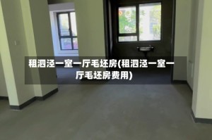 租泗泾一室一厅毛坯房(租泗泾一室一厅毛坯房费用)