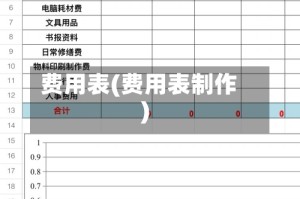 费用表(费用表制作)