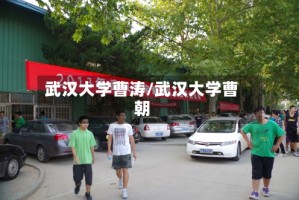 武汉大学曹涛/武汉大学曹朝
