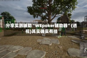 分享实测辅助“WEpoker辅助器”(透视)其实确实有挂