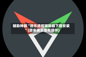 辅助神器“微乐透视辅助器下载安装”(原来确实是有插件)