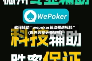 教程辅助“wepoker辅助器透视挂”(曝光透视必备猫腻)