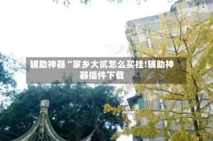 辅助神器“家乡大贰怎么买挂!辅助神器插件下载