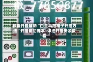 教程开挂辅助“白金岛跑胡子开挂方法”开挂辅助脚本+详细开挂安装教程