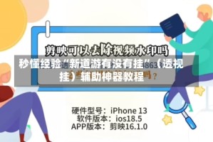 秒懂经验“新道游有没有挂”（透视挂）辅助神器教程