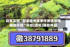 玩家实测“智星德州菠萝作弊透视挂辅助开挂“开挂(透视)辅助神器