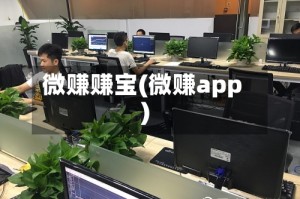 微赚赚宝(微赚app)
