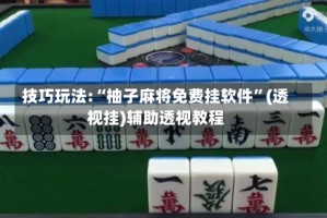 技巧玩法:“柚子麻将免费挂软件”(透视挂)辅助透视教程