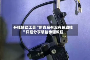 开挂辅助工具“新青鸟有没有辅助挂”详细分享装挂步骤教程