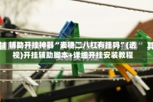 辅助开挂神器“麦穗二八杠有挂吗”(透视)开挂辅助脚本+详细开挂安装教程