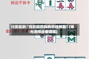 分享实测“微乐捉鸡麻将开挂神器”(曝光透视必备猫腻)