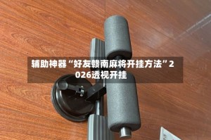 辅助神器“好友赣南麻将开挂方法”2026透视开挂