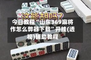 今日教程“山东369麻将作怎么弊器下载”开挂(透视)辅助教程
