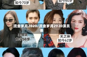 流金岁月2020/流金岁月2020演员表