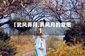 【武风弄月,弄风月的意思】