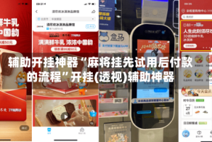 辅助开挂神器“麻将挂先试用后付款的流程”开挂(透视)辅助神器