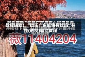 教程辅助！“微乐广东麻将有挂吗”开挂(透视)辅助教程
