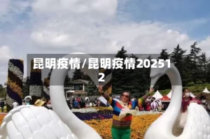 昆明疫情/昆明疫情202512