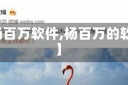 【杨百万软件,杨百万的软件】