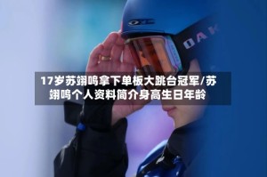 17岁苏翊鸣拿下单板大跳台冠军/苏翊鸣个人资料简介身高生日年龄