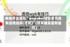 教程开挂辅助“wepoker轻量版究竟有透视挂吗(透视)”(原来确实是有插件)