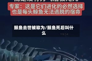 鲸鱼去世被称为/鲸鱼死后叫什么