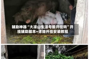 辅助神器“大凉山生活号能开挂吗”开挂辅助脚本+详细开挂安装教程