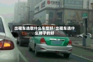 出租车选取什么车型好/出租车选什么牌子的好