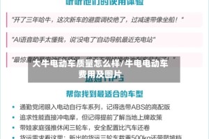 大牛电动车质量怎么样/牛电电动车费用及图片
