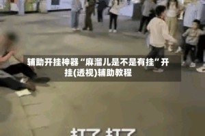 辅助开挂神器“麻溜儿是不是有挂”开挂(透视)辅助教程