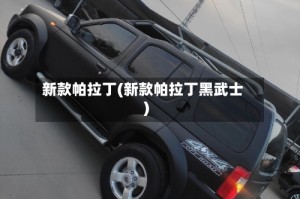 新款帕拉丁(新款帕拉丁黑武士)