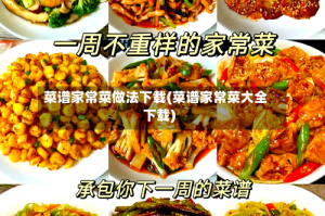 菜谱家常菜做法下载(菜谱家常菜大全下载)