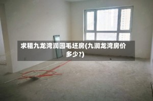 求租九龙湾润园毛坯房(九润龙湾房价多少?)