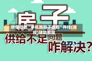 秒懂经验“手机跑胡子透视”开挂(透视)辅助教程