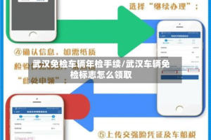 武汉免检车辆年检手续/武汉车辆免检标志怎么领取