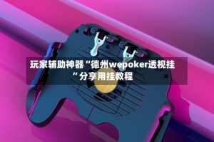 玩家辅助神器“德州wepoker透视挂”分享用挂教程