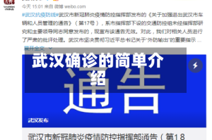 武汉确诊的简单介绍