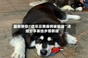 最新教你“微乐云南麻将破解器”详细分享装挂步骤教程