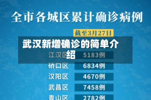 武汉新增确诊的简单介绍