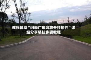 教程辅助“闲来广东麻将开挂插件”详细分享装挂步骤教程