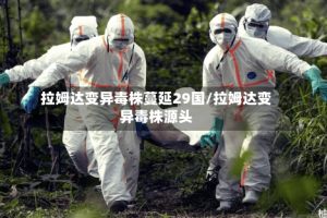 拉姆达变异毒株蔓延29国/拉姆达变异毒株源头