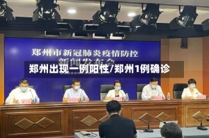 郑州出现一例阳性/郑州1例确诊