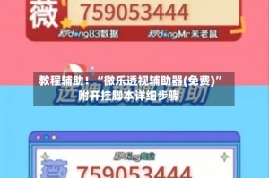 教程辅助！“微乐透视辅助器(免费)”附开挂脚本详细步骤