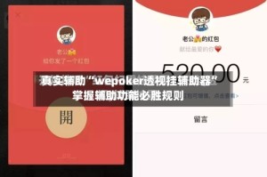 真实辅助“wepoker透视挂辅助器”掌握辅助功能必胜规则
