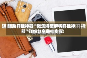 辅助开挂神器“微乐海南麻将开挂神器”详细分享装挂步骤!