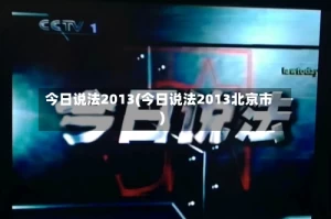 今日说法2013(今日说法2013北京市)