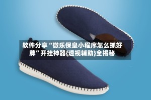 软件分享“微乐保皇小程序怎么抓好牌”开挂神器{透视辅助}全揭秘