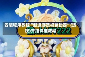 安装程序教程“新道游透视辅助器”(透视)开挂详细教程